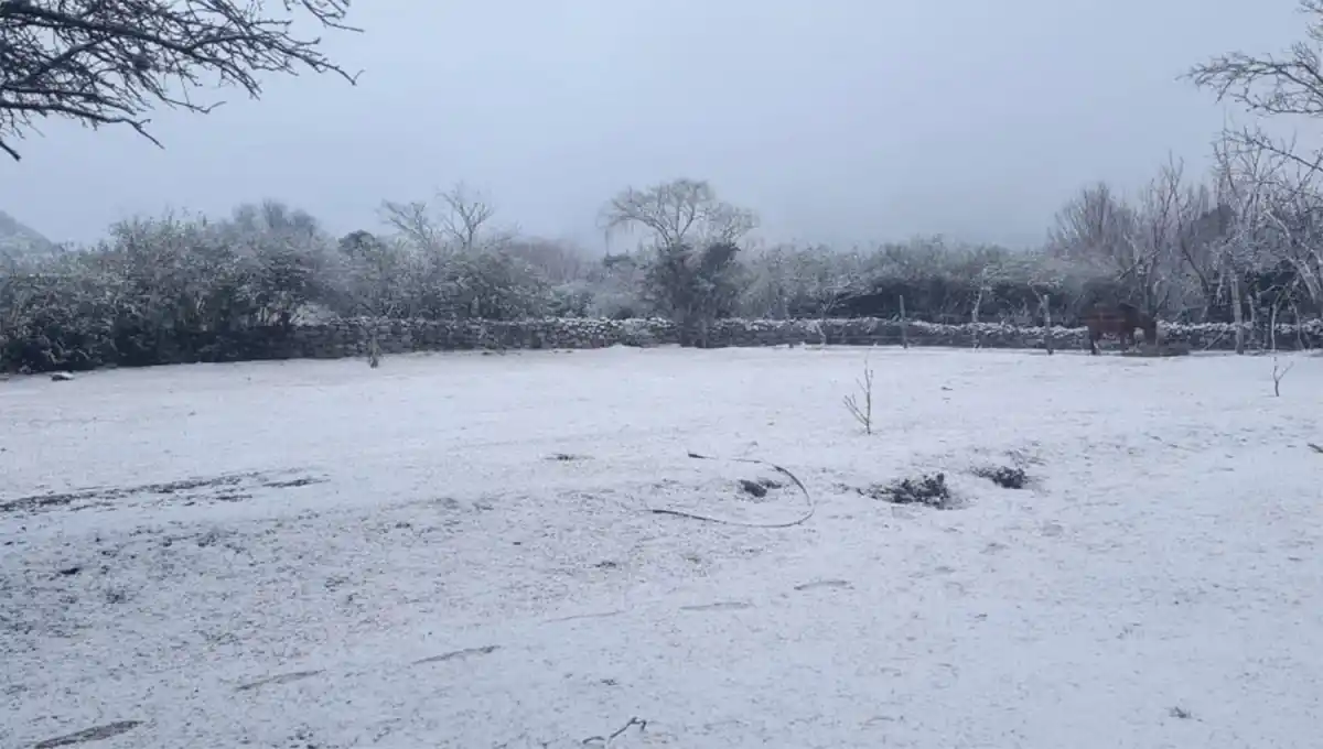 Las bajas temperaturas cubrieron de garrotillo a Tafí del Valle