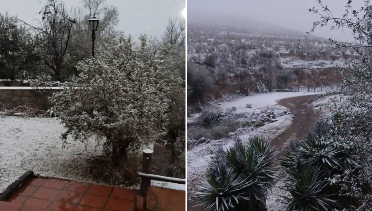 Las bajas temperaturas cubrieron de garrotillo a Tafí del Valle