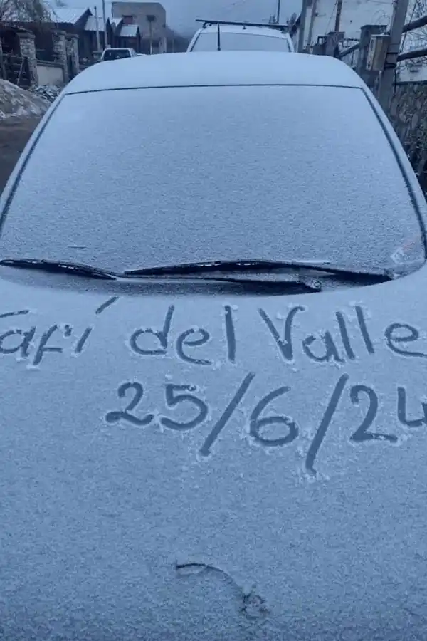 LA PRUEBA. Un lector envió una imagen con la fecha de hoy para mostrar el garrotillo sobre un auto.