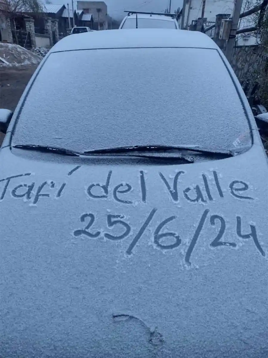 LA PRUEBA. Un lector envió una imagen con la fecha de hoy para mostrar el garrotillo sobre un auto.