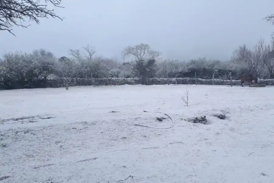 Las bajas temperaturas cubrieron de garrotillo a Tafí del Valle