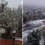 Tucumán, bajo alerta amarilla por frío extremo: qué dice el pronóstico sobre una posible nevada