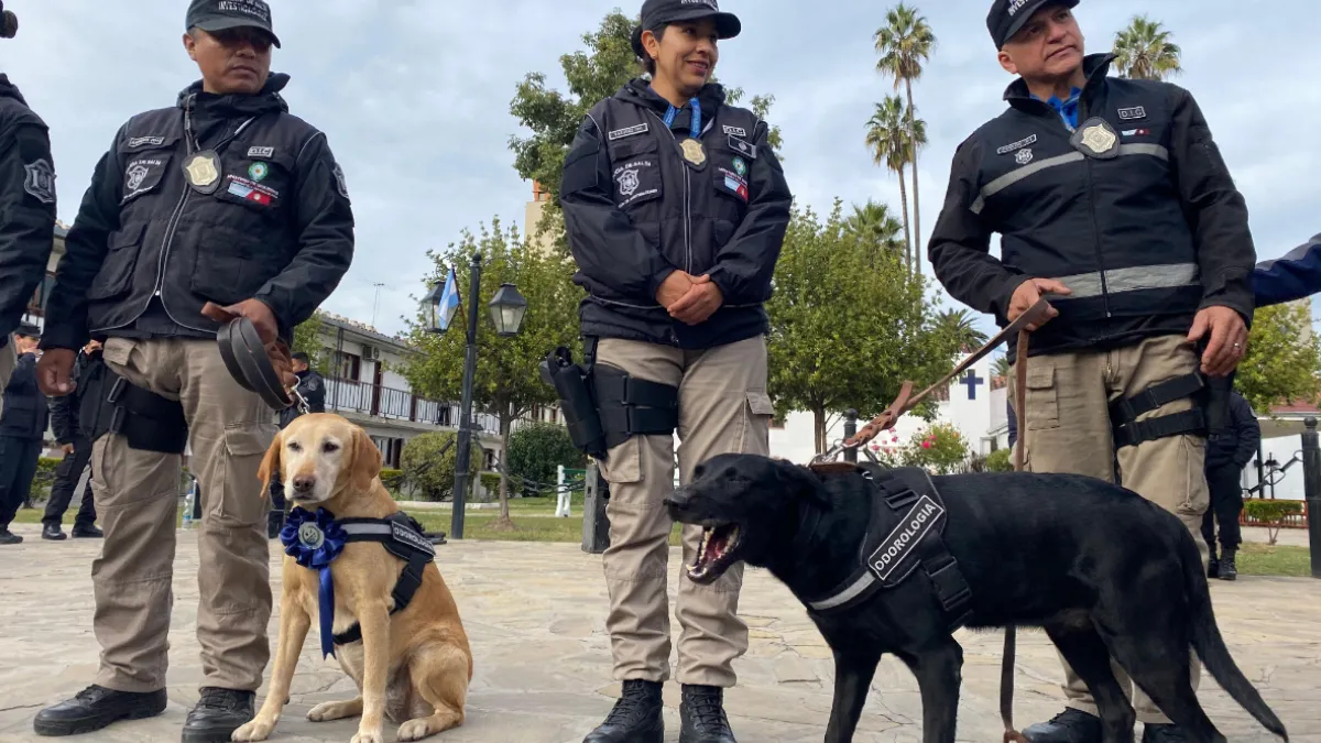 Caso Loan: Dina y Kala, las perras que cambiaron el rumbo de la investigación