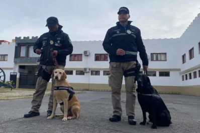 Caso Loan: Dina y Kala, las perras que cambiaron el rumbo de la investigación