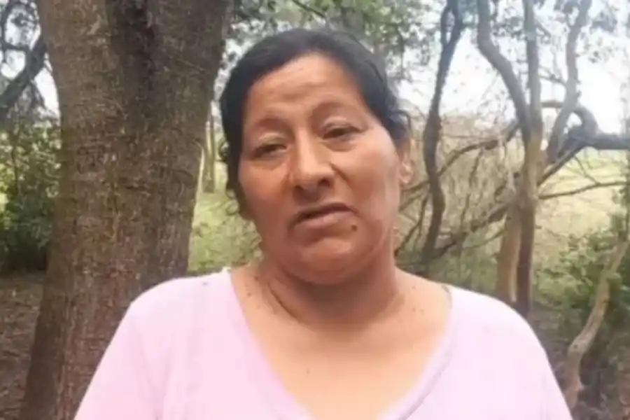 VIDEO. Los errores que se cometieron en el caso Loan