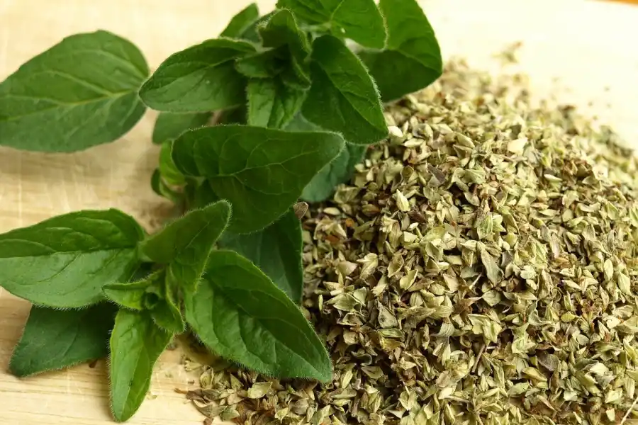 El orégano, una hierba beneficiosa