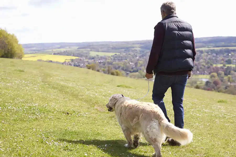 Los perros pueden tener grandes efectos en sus dueños 