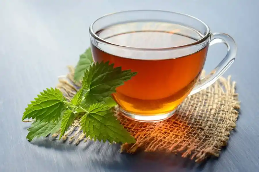 Té de orégano, los beneficios de esta poderosa bebida.