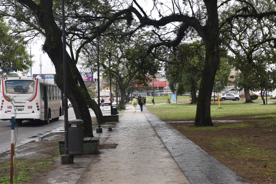 DESOLADO. Muchos alumnos hacen el trayecto que va desde la facultad hasta la terminal. / JOSÉ NUNO, LA GACETA.