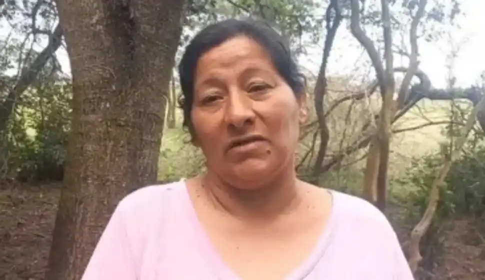 VIDEO. Los errores que se cometieron en el caso Loan