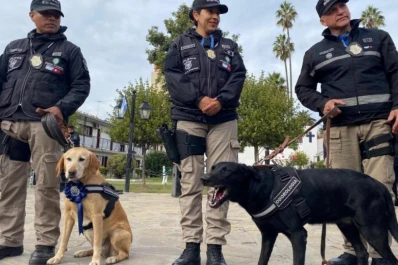 Caso Loan: “Kala” y “Diana”, la historia de las perras que fueron clave en la investigación