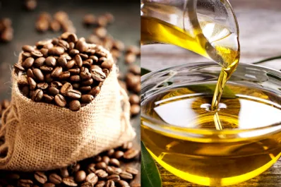 Para qué sirve la infusión con aceite de oliva y café que es tendencia