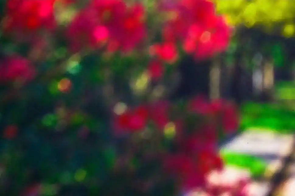 Espectáculos en Tucumán: guía para salir