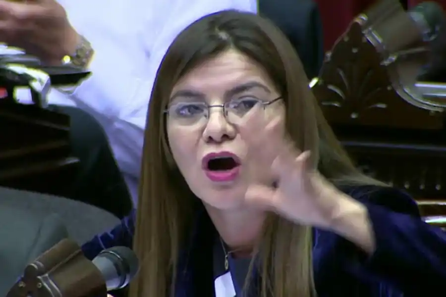 Ley Bases aprobada: cómo votaron los nueve diputados por Tucumán