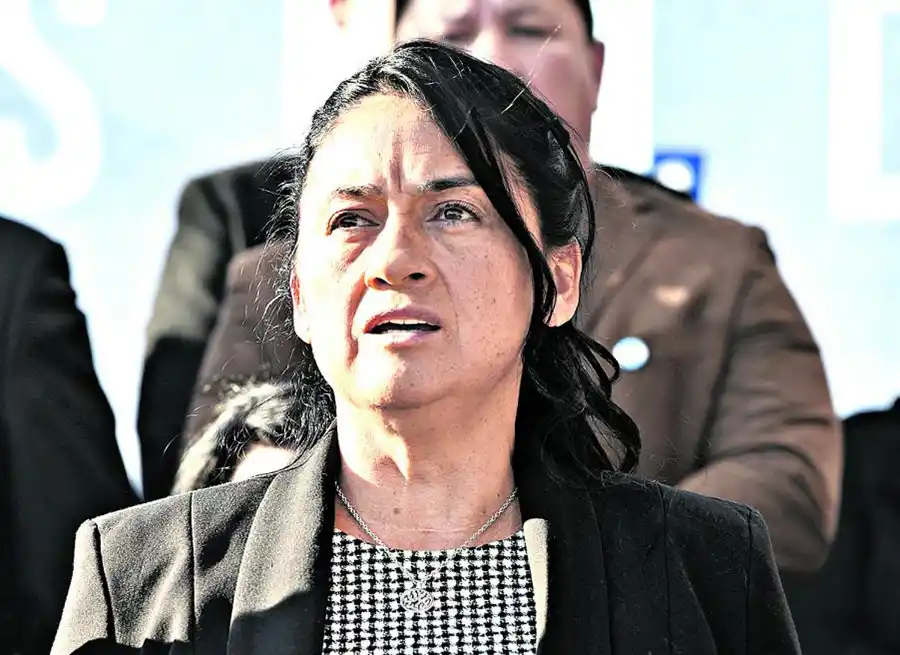 Ley Bases aprobada: cómo votaron los nueve diputados por Tucumán