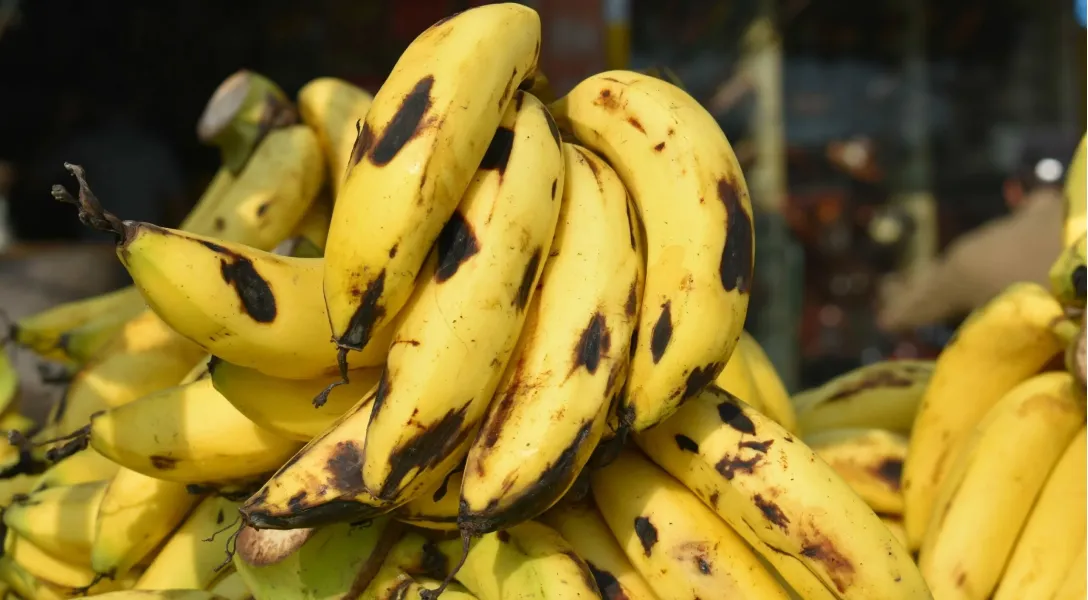 El truco desconocido para conservar las bananas por más tiempo