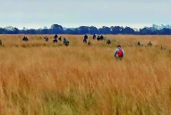 El cimbronazo de la tía de Loan: dudas y peleas