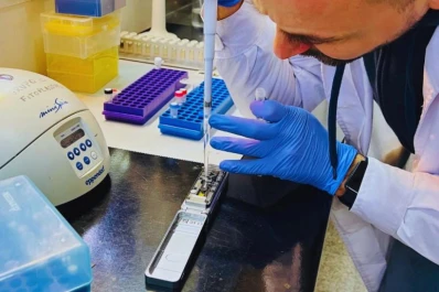 Científicos del INTA lograron secuenciar el genoma del vector del achaparramiento del maíz