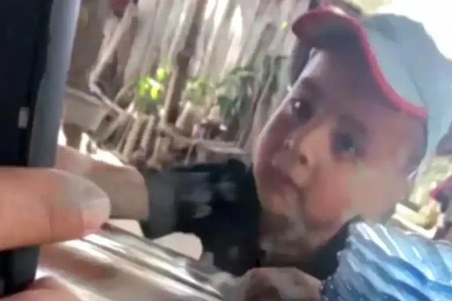 VIDEO. Las respuestas de los puntos más polémicos del caso Loan