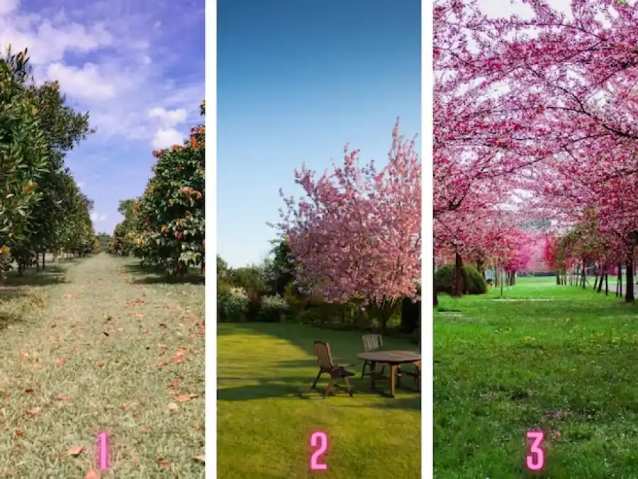 Test de personalidad: elegí un jardín y descubrí cuál es el consejo que necesitas para avanzar con tus proyectos