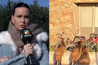 El dramático pedido de Natalie Weber por la invasión de carpinchos en su casa de Nordelta