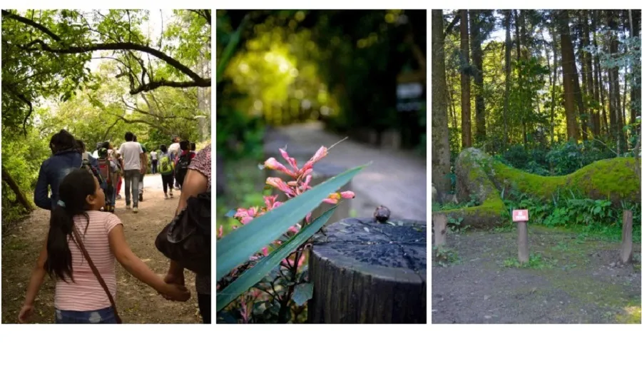La Reserva Experimental de Horco Molle, un parque natural para visitar estas vacaciones de invierno