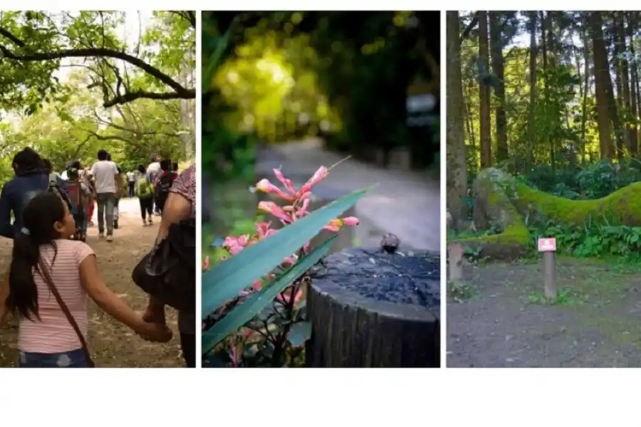 La Reserva Experimental de Horco Molle, un parque natural para visitar estas vacaciones de invierno