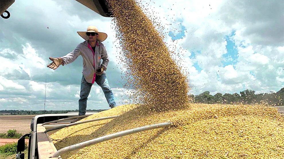 La recuperación agroindustrial de Tucumán dependerá del levantamiento del cepo