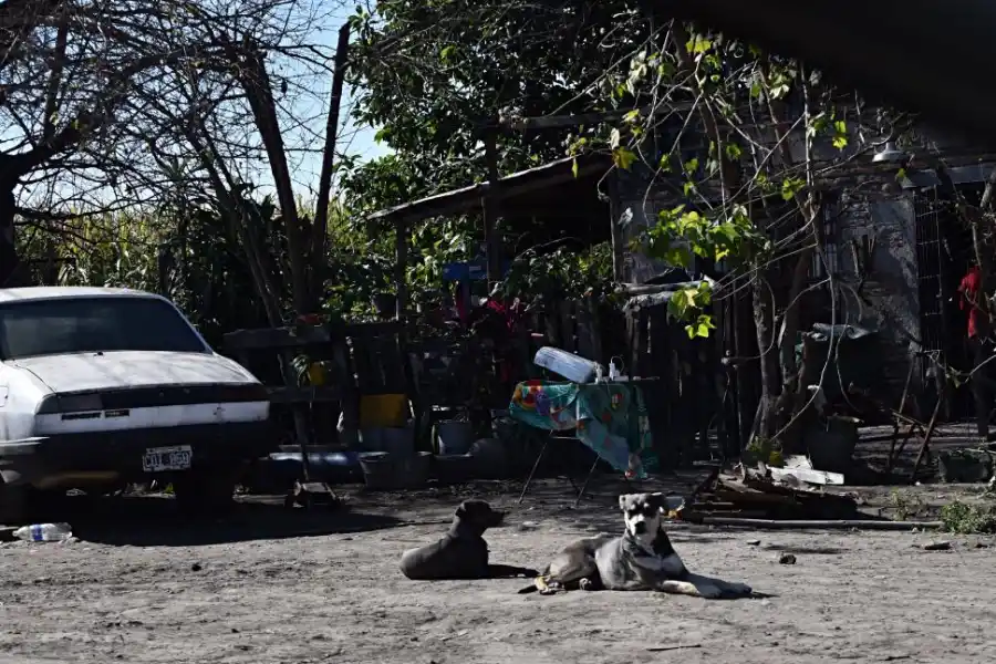 ANIMALES EN LA CASA. La víctima fue atacada por cuatro perros.
