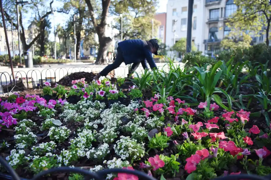 Con grandes artistas, San Miguel de Tucumán se prepara para celebrar a lo grande los 208 años de la Independencia