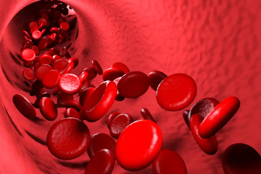 Las plaquetas son las encargadas de que la sangre coagule 