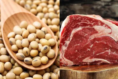 Proteínas: ¿es mejor la carne o la soja texturizada para una dieta equilibrada?