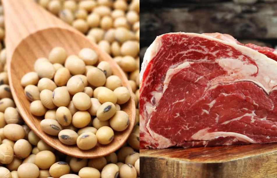 La carne o la soja texturizada: ¿cuál tiene más proteína?