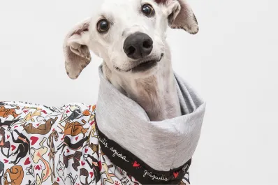 ¿Cuáles son las razas de perros que sí necesitan abrigo cuando hace frío?