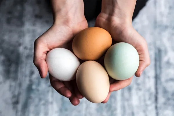 Cinco motivos por los que los deportistas deben consumir huevo