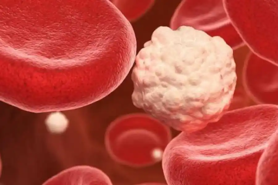 La glucosa en cantidades excesivas produce enfermedades como la diabetes.