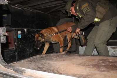 Córdoba: secuestraron mercadería de contrabando valuada en $ 40 millones