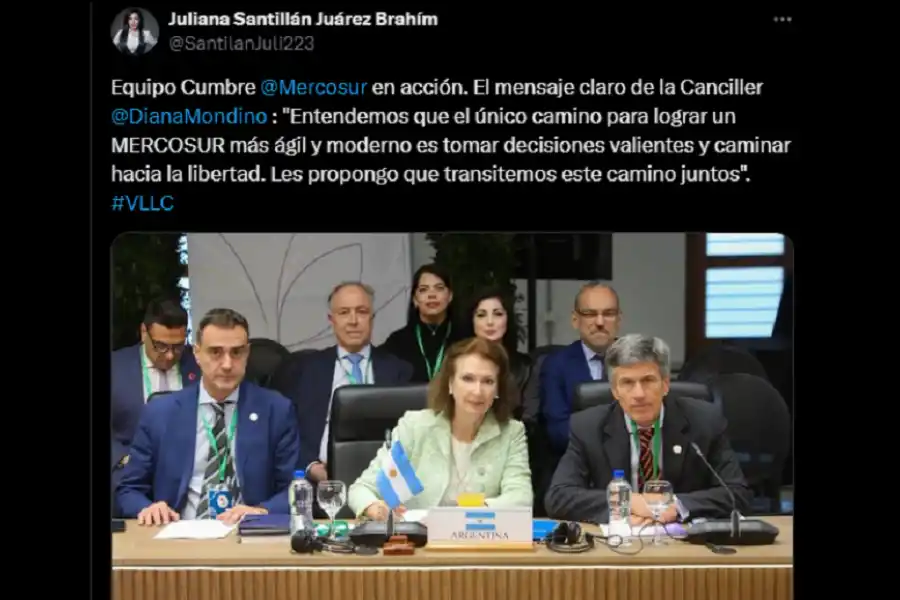 El posteo de la diputada, que formó parte de la delegación Argentina. 