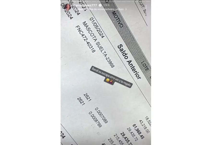 El posteo de Tamara Báez en Instagram.