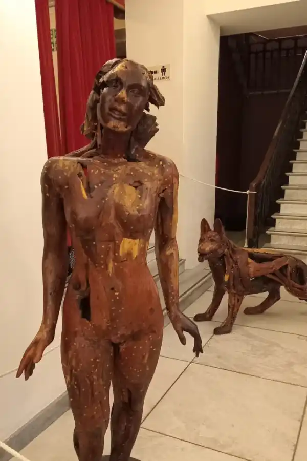 MUJER BAILARINA. El interior y exterior se aprecia claramente.