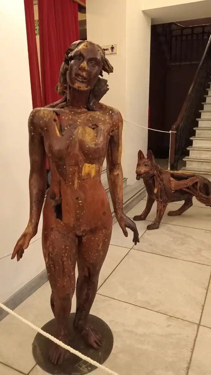 MUJER BAILARINA. El interior y exterior se aprecia claramente.