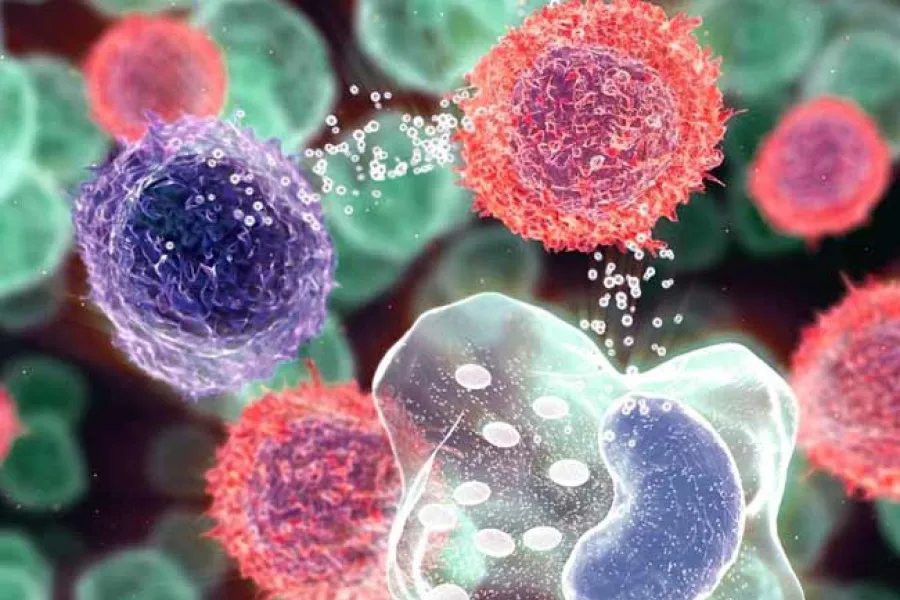 ¿Qué sucede en la inflamación crónica?