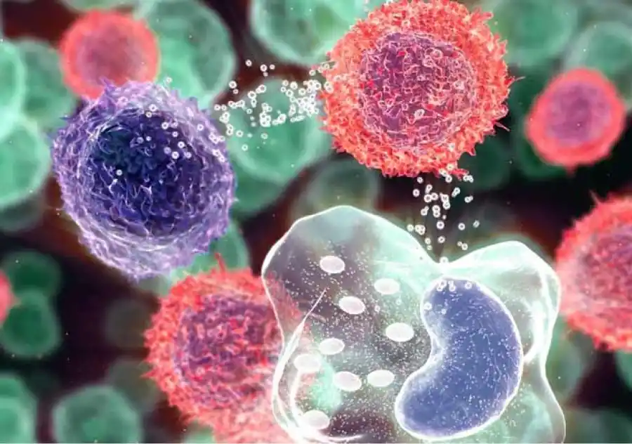 ¿Qué sucede en la inflamación crónica?