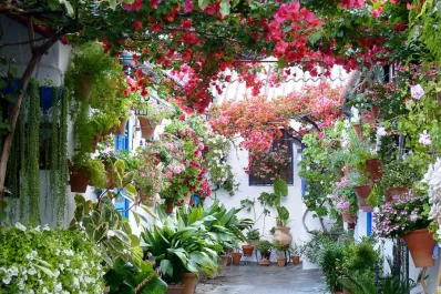 Bonita, pero peligrosa: cuál es la planta que nunca deberías tener en casa por las enfermedades que provoca