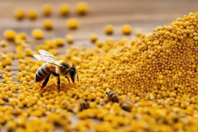 Polen de abeja, un ingrediente multipropiedades que ayuda a cuidar tu salud