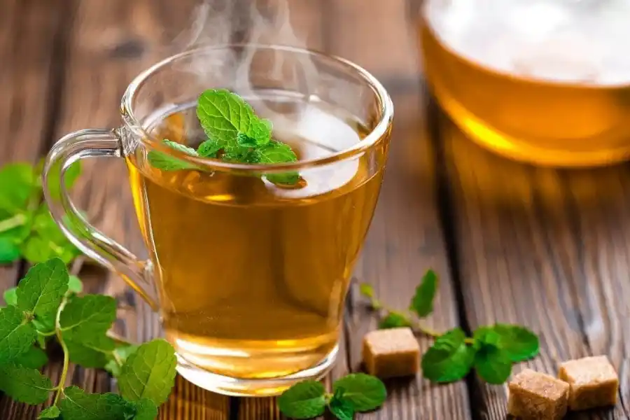El té verde protege al cerebro del daño oxidativo.