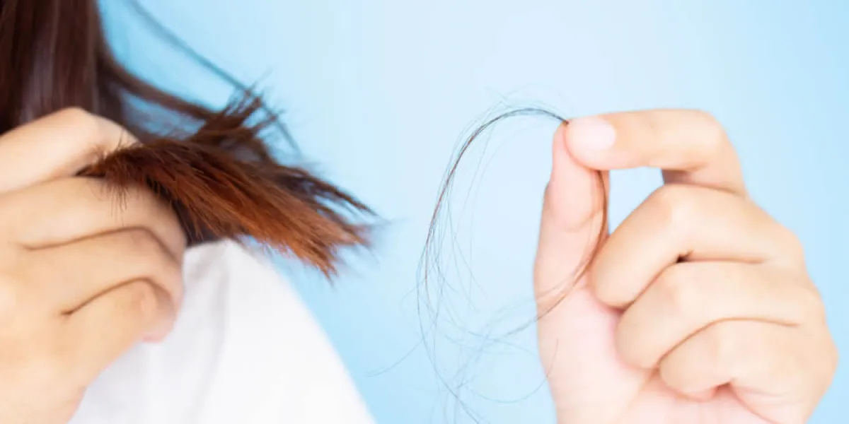 Lo suseños representan miedos reprimidos en el inconsciente.