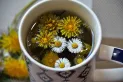 La infusión que favorece la producción de insulina y ayuda a regular el azúcar en sangre