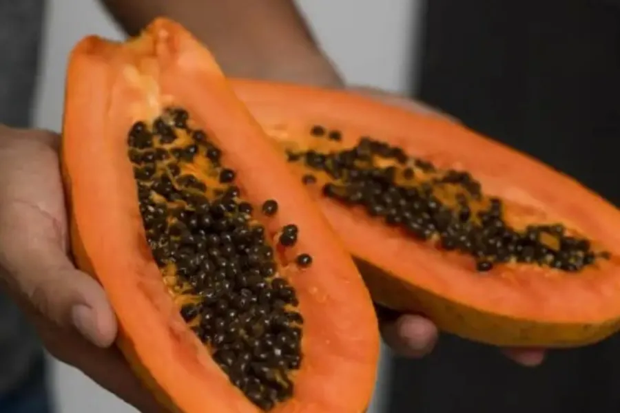 Cuáles son los tres beneficios de comer papaya en ayunas, según los nutricionistas