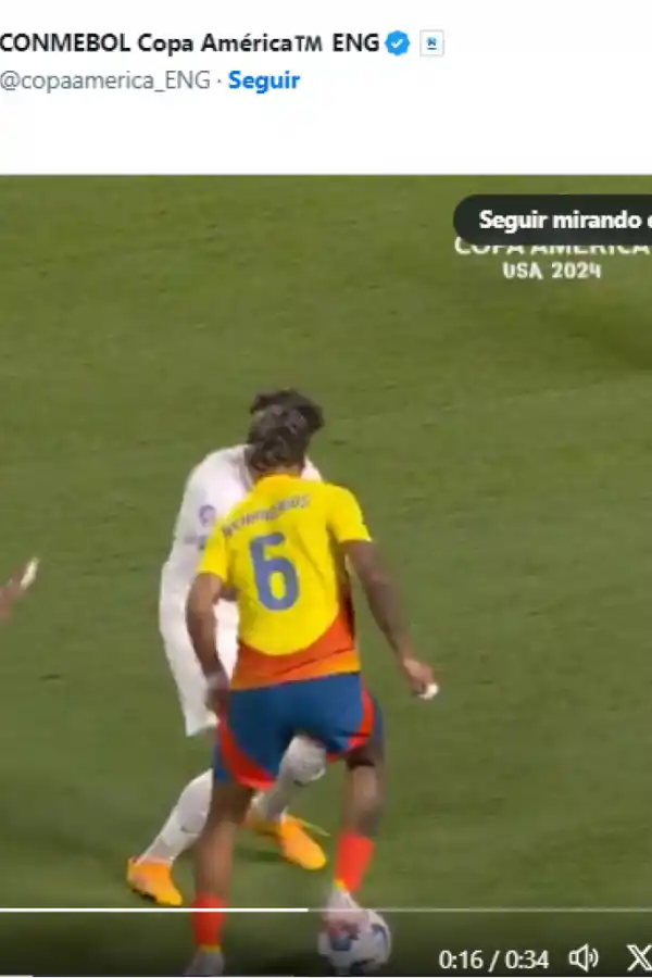 FANCAM. La reacción de la Conmebol a Richard Ríos. / CAPTURA DE PANTALLA.